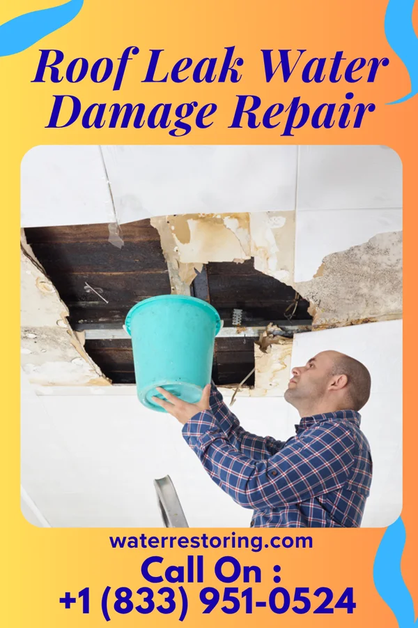 Roof Leak Water Damage Repair in Bellevue, WA